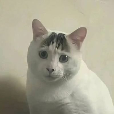 Krish_Ars3's profile picture. A Security Researcher : Low-level Stuff and Web.