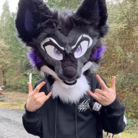 ⋆。°✩ Shadow ✩。°⋆ (@forestdoggo) 's Twitter Profile Photo ⋆。°✩ Shadow ✩。°⋆ (@forestdoggo) 's Twitter Profile Photo