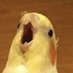 fhuhhnnb (@fhuhhnnb80650) Twitter profile photo fhuhhnnb (@fhuhhnnb80650) Twitter profile photo