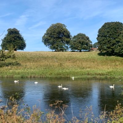 Chutzkfb's profile picture. 