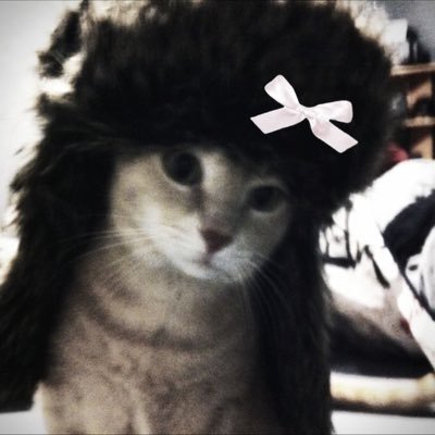 Toleg0306's profile picture. 