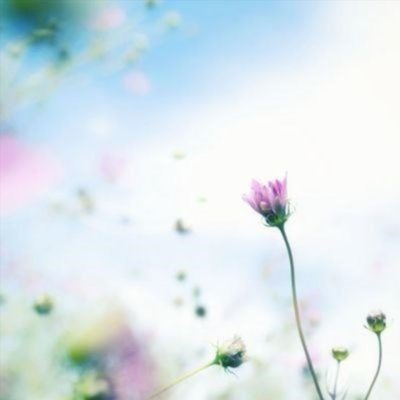 20代女/155cm🐈ごはんにする?おかずにする?返事時々
応募はこちらから➡https://t.co/Bz2V3GuglP