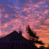 NewMan (@csyrigos) 's Twitter Profile