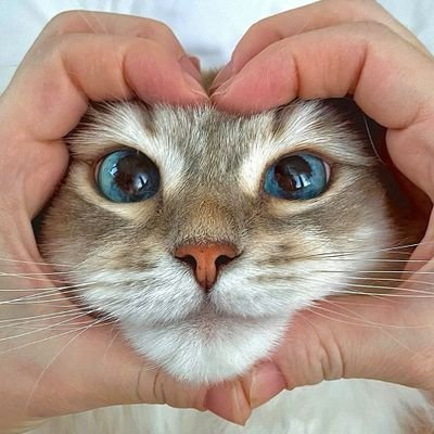 pachi_ouen's profile picture. ∥映像媒体や来店演者等の色んな人を応援するアカウントです∥副業垢・エロ垢・変な垢・以外のフォロー大歓迎です∥フォロバ100じゃないよ∥天安門∥日常垢(@cho_nekona_hito)