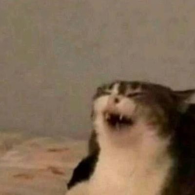 Arknet130's profile picture. ❤️🌄