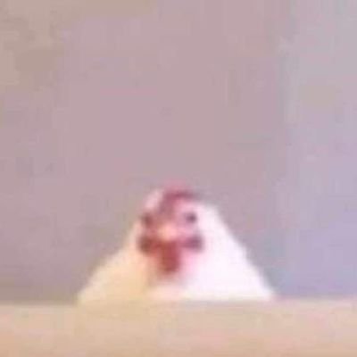 JACKGTR241's profile picture. 