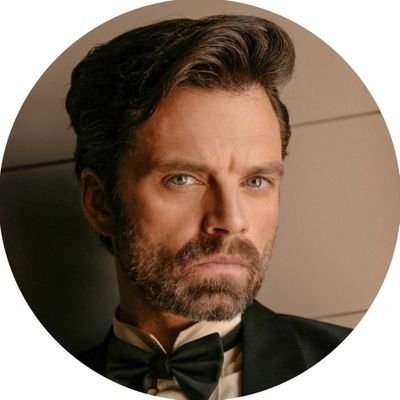 sebastian stan daily Profile