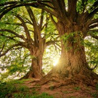 self preservation investor (@pwatts93) 's Twitter Profile