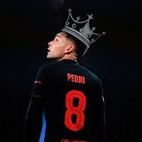 King Pedri (@nopedrinoparty8) 's Twitter Profile