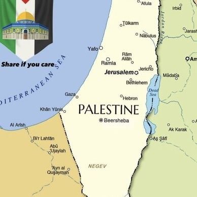 Ahmedtrdz's profile picture. .