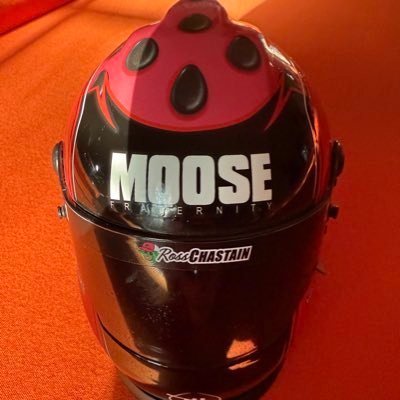 Dooleydog2's profile picture. 