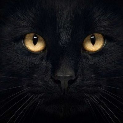 JohnSmi94357342's profile picture. 