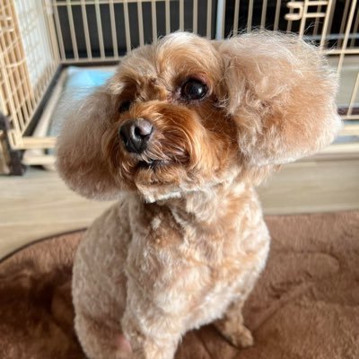I’m just a simple person with a kind heart 💜 please be nice 😊 just here to make friends and be happy 😎😍 nature is life 🇺🇸🇯🇵🇬🇧🇩🇪🌸💐🌺🌹🌹pet lover