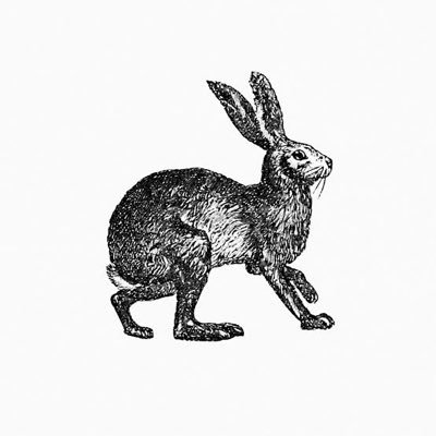 niさんのプロフィール画像