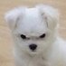 춘삼 (@_cnssam) Twitter profile photo