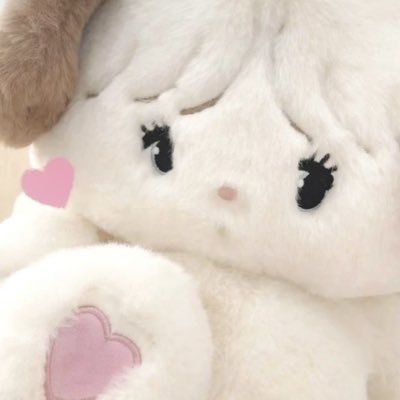 ୨ৎ ˖ ˙✧ #범규 #해린 #장원영 sylvanian . sonny angels 🩰 ᨦ♡ദ and other things ⭐️