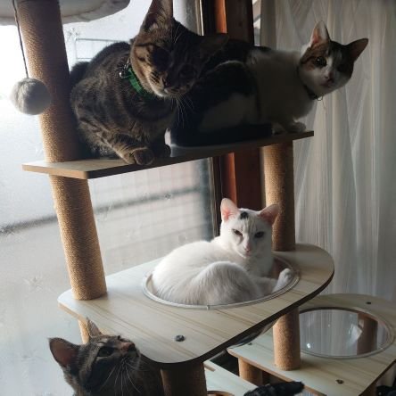 Okd777's profile picture. 名古屋グランパス𓀤
Survive Said The Prophet𓆟サバプロ𓀀𓀃
猫🐈🐱ฅ•ω•ฅ😸
