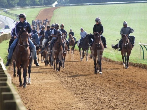Professional Gambler In Newmarket with some of the best contacts in the business including Jockeys,Trainers and Top Workrider's. Try My Private Service Today.