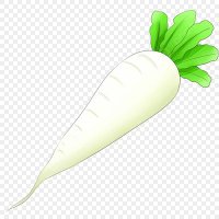 radish_gay (@radish167) 's Twitter Profile Photo radish_gay (@radish167) 's Twitter Profile Photo
