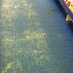 carpet (@whs_carpet) Twitter profile photo carpet (@whs_carpet) Twitter profile photo