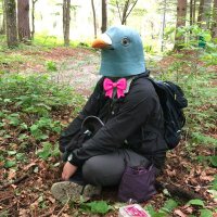 marcy (@immarceline0) 's Twitter Profile