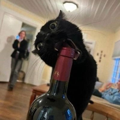 fdsmaikk's profile picture. 