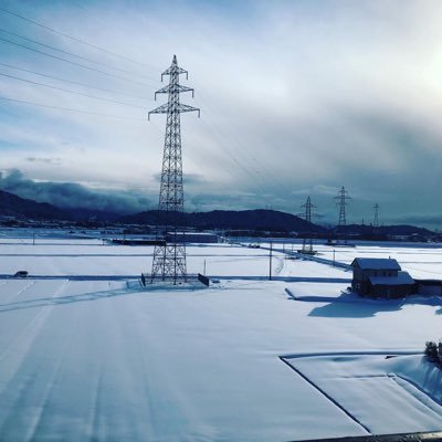 yamori_jikka's profile picture. 