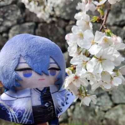 ichika*ᕱ⑅ᕱ︎さんのプロフィール画像