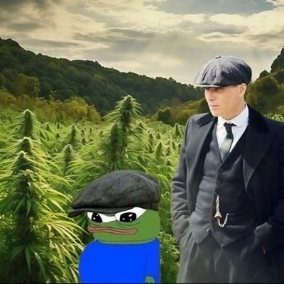 Psychonautic CannaFarmer 🌴❄️
ADA/BTC 🐸🖖
$DOG & $SKI are the tickers 🔥🚀