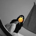 รับงานนครปฐมตัวเมือง สาวอ้วน หญิงแท้ (@loveyoutoo5656) Twitter profile photo รับงานนครปฐมตัวเมือง สาวอ้วน หญิงแท้ (@loveyoutoo5656) Twitter profile photo