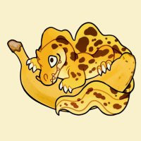 gatorstooth on ๐ฆ (@gatorstooth) 's Twitter Profile Photo gatorstooth on ๐ฆ (@gatorstooth) 's Twitter Profile Photo
