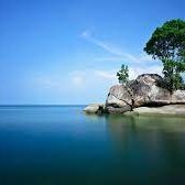 gftzn86793768's profile picture. 