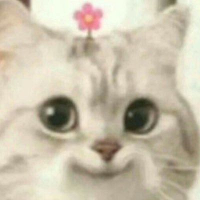 พอ พลอย (pp~❤️‍🔥) ㋛❀ ✿さんのプロフィール画像