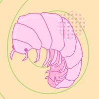 Flora🌷𖦹. (@why_flora) 's Twitter Profile