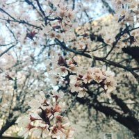 🫚🍎 • USENで投票🗳️ (@gingerale_22) 's Twitter Profile Photo 🫚🍎 • USENで投票🗳️ (@gingerale_22) 's Twitter Profile Photo