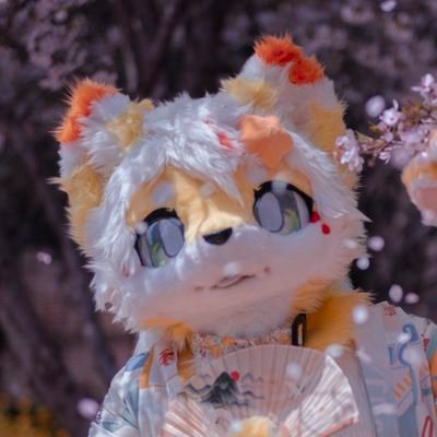 Tidal_Rui's profile picture. 