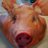 beppu_the_cook's profile image