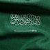 𝑷𝒍𝒂𝒕𝒊𝒏𝒖𝒎🇸🇦 (@mtn0o0532) Twitter profile photo 𝑷𝒍𝒂𝒕𝒊𝒏𝒖𝒎🇸🇦 (@mtn0o0532) Twitter profile photo