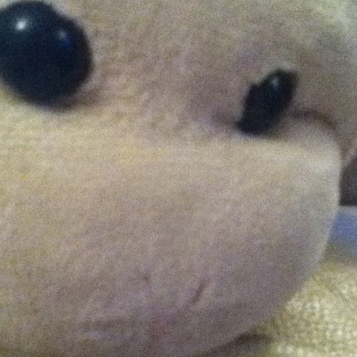 sophcoles's profile picture. 