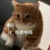绝凶猛虎纯正魏一郎 (@xvxvsnjxjj11110) Twitter profile photo 绝凶猛虎纯正魏一郎 (@xvxvsnjxjj11110) Twitter profile photo