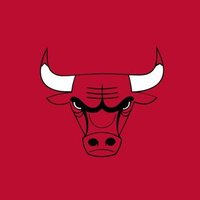 BullsMuse (@bullsmuse) 's Twitter Profile Photo