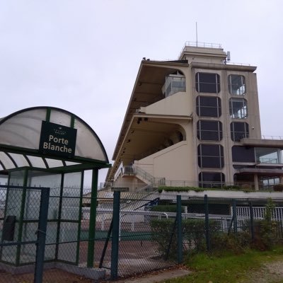 kaimon_81's profile picture. 