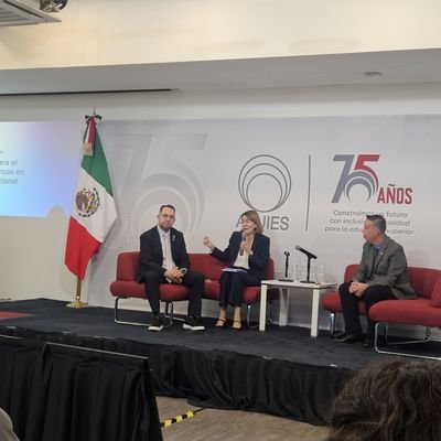 Internacionalista
Presidente de la Asociación Mexicana para la Educación Internacional
Director de Fortalecimiento Institucional en ANUIES