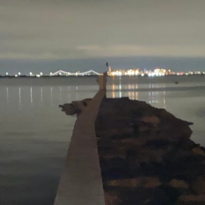 kratom369's profile picture. Female.  30's.  New Jersey native.
Health, Truth, and Freedom --- that's the vibe