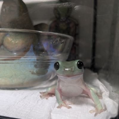 ko_ne_ko_no_ko's profile picture. カードゲーム好きです🙌
ビショップ/ロイヤル/ドラゴン/ナイトメア
モンハン/ポケポケ/シャドバ/スト6/ポケカ