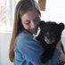 New England Bears (@buybearsvt) Twitter profile photo New England Bears (@buybearsvt) Twitter profile photo