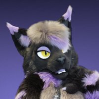 β¨ππππππΆβ¨π FWA (@astoragray) 's Twitter Profile