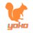yoko_ALPHAZ