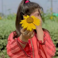 Sadia Noreen (@snoreen36) 's Twitter Profile