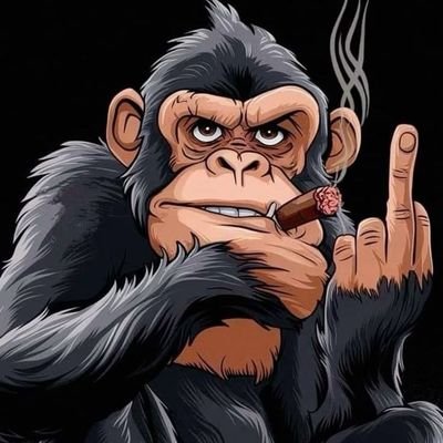 JustinaAma33083's profile picture. Dm if you need a Community Moderator